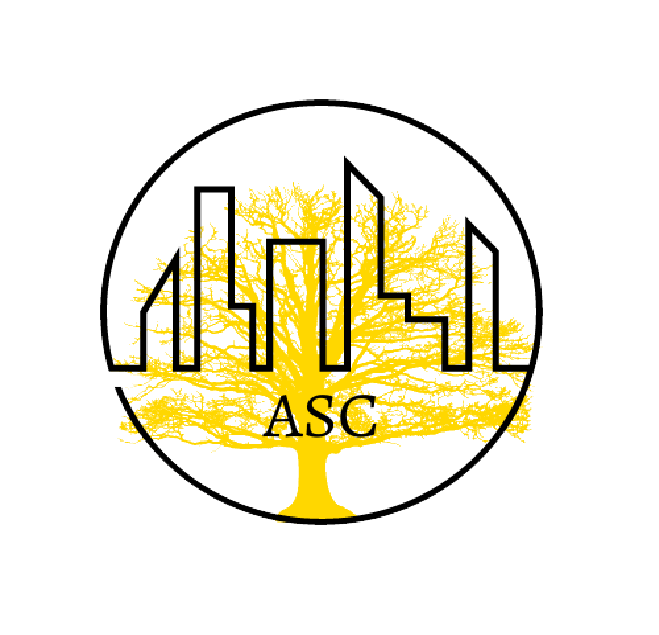 Ambre Seradni Consulting logo
